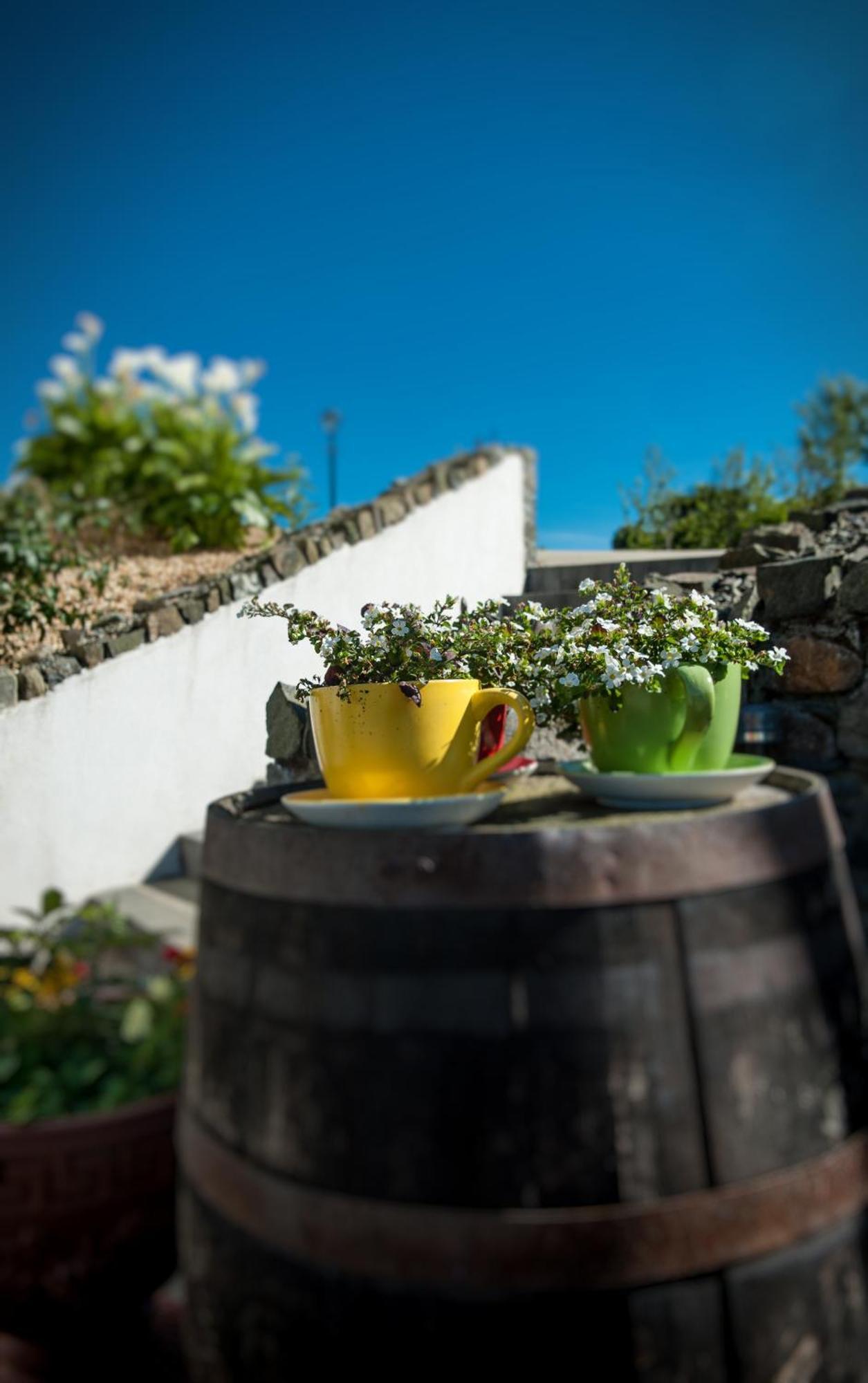 Grove House Bed & Breakfast Карлингфорд Экстерьер фото