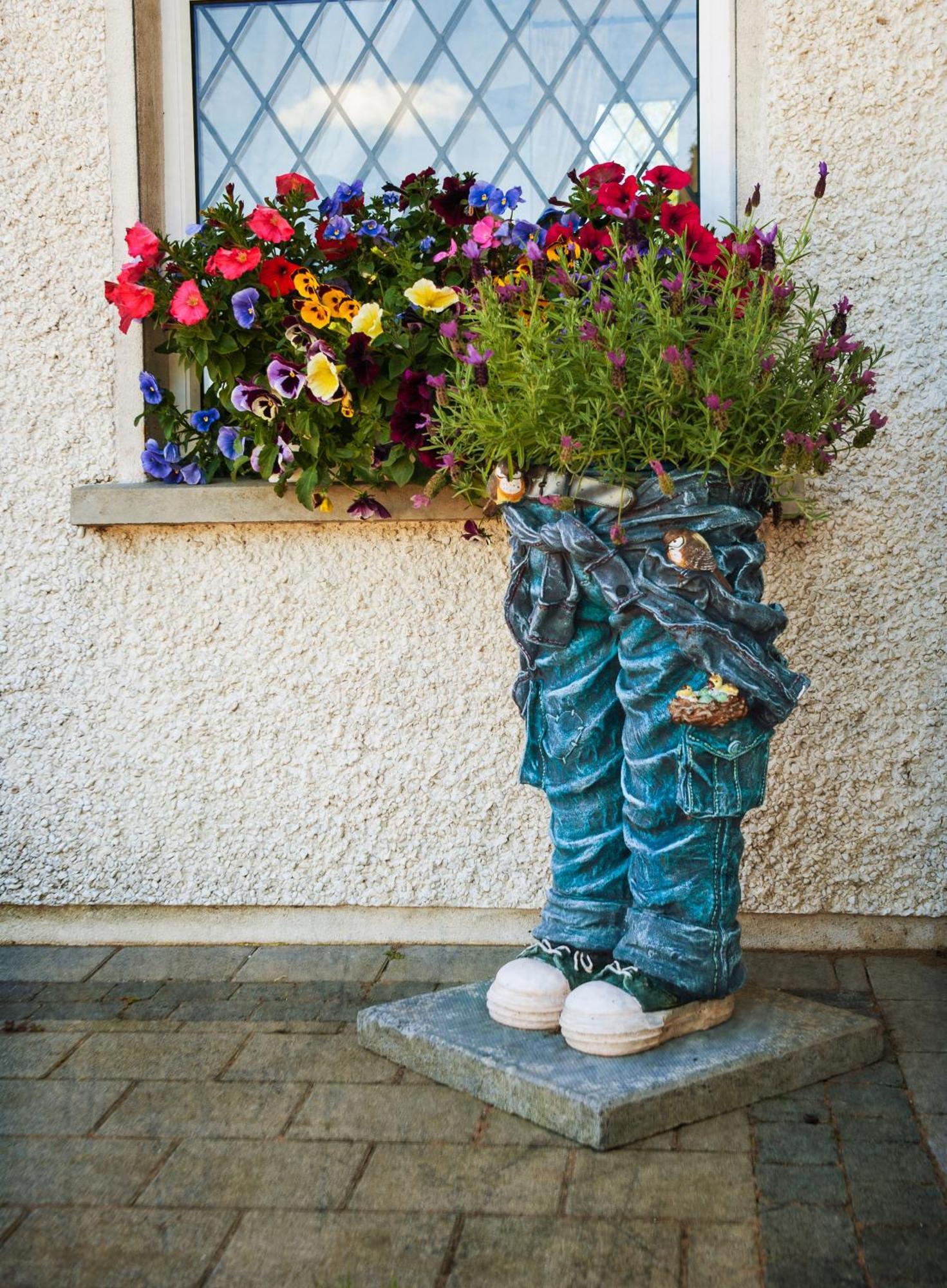 Grove House Bed & Breakfast Карлингфорд Экстерьер фото