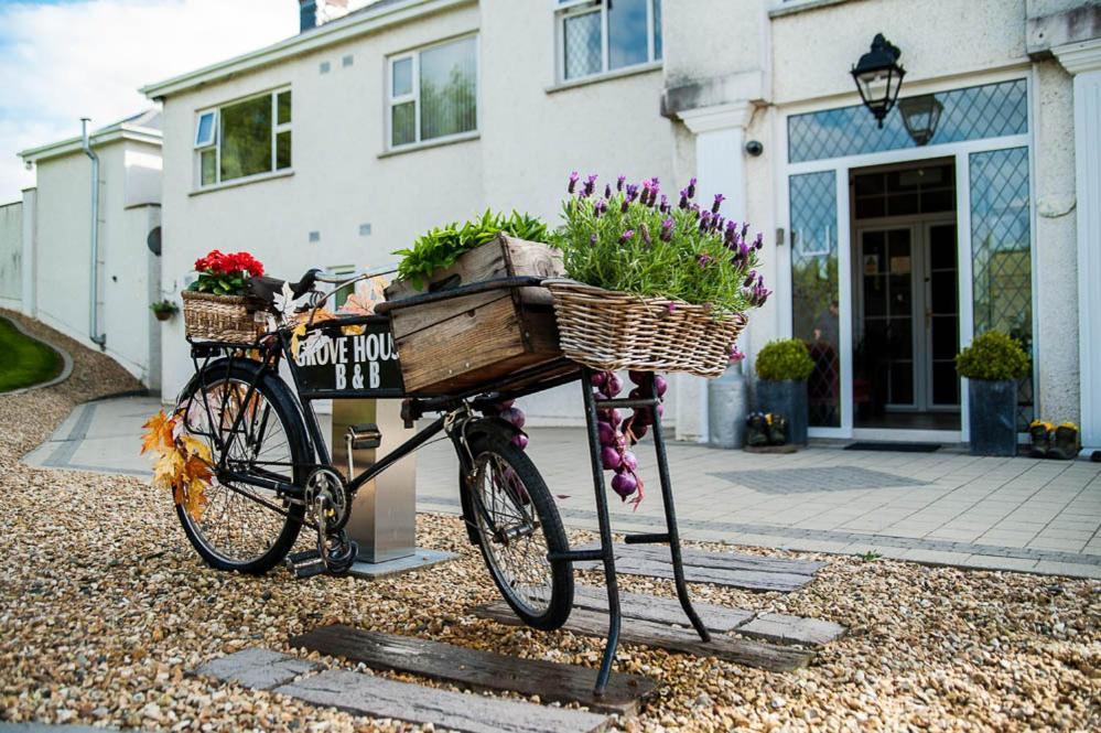 Grove House Bed & Breakfast Карлингфорд Экстерьер фото